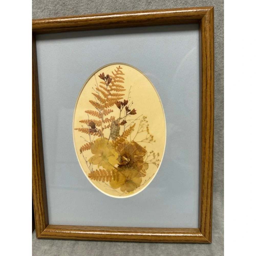 VTG Set of 2 Framed Dried Pressed Fern Flowers Botanical‎ Art Oval Cottagecore